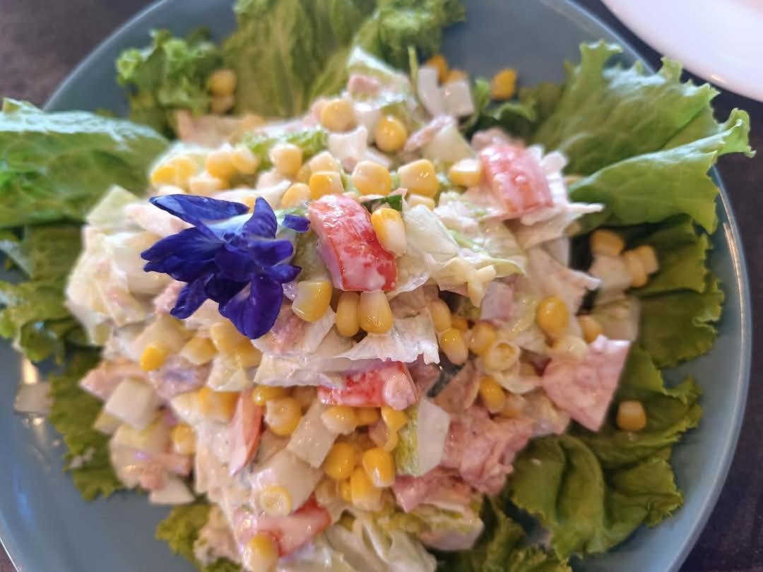 Plato De Ciudad II Hotel Caticlan Buitenkant foto